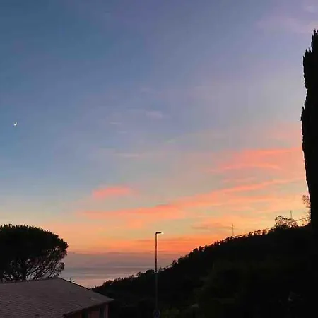 Con Vista *