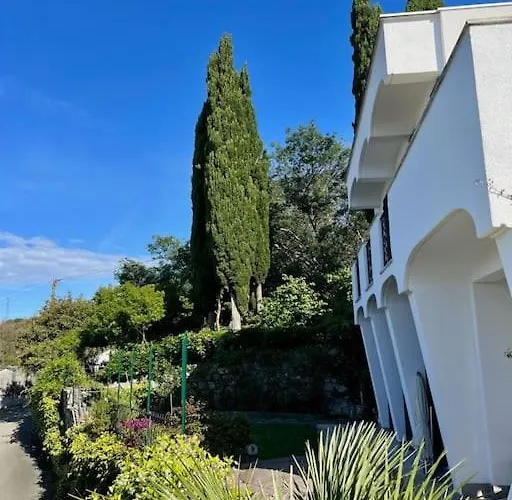Con Vista