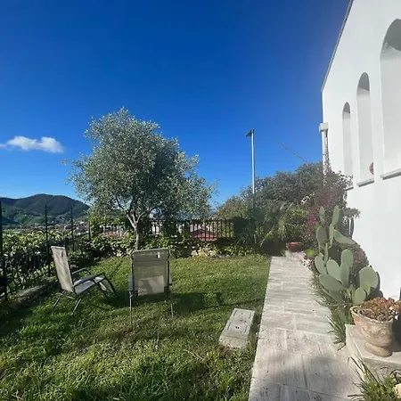 Con Vista